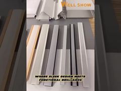 एल्यूमीनियम प्रोफ़ाइल का नेतृत्व किया