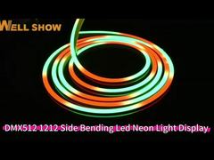 DMX512 1212 LED Neon Light