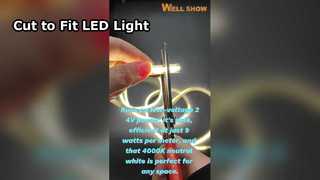 एनी-कट सीओबी स्ट्रिप लाइट