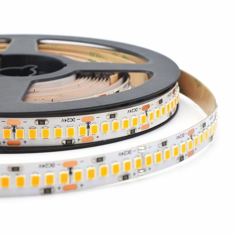 3000K 4000K 6500K 12 वोल्ट एलईडी फ्लेक्सिबल लाइट स्ट्रिप्स 24V SMD2835 स्मार्ट डुअल 2 कलर वाटर रनिंग