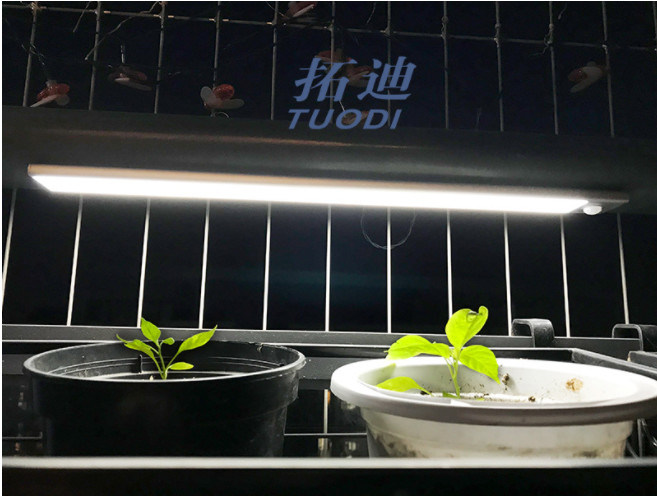 वायरलेस यूएसबी रिचार्जेबल फ्लेक्सिबल एलईडी मोशन सेंसर कैबिनेट लाइट काउंटर क्लोजेट लाइटिंग लाइट के तहत