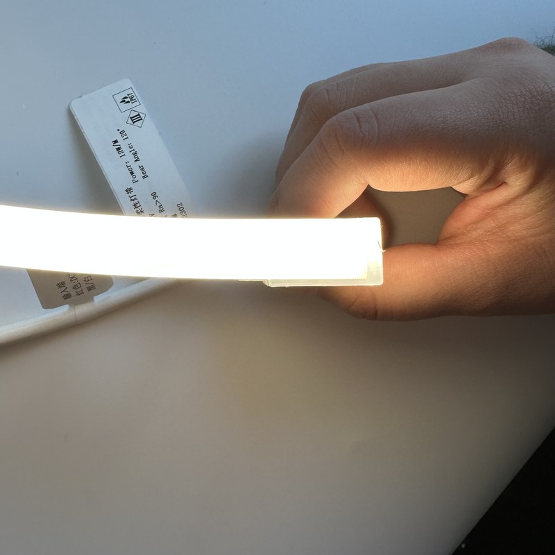 एलईडी सिलिकॉन नियॉन स्ट्रिप लाइट 2700K - 6000K/ RGBW / DMX512 24V 1010 1212 16116 नियॉन लाइट